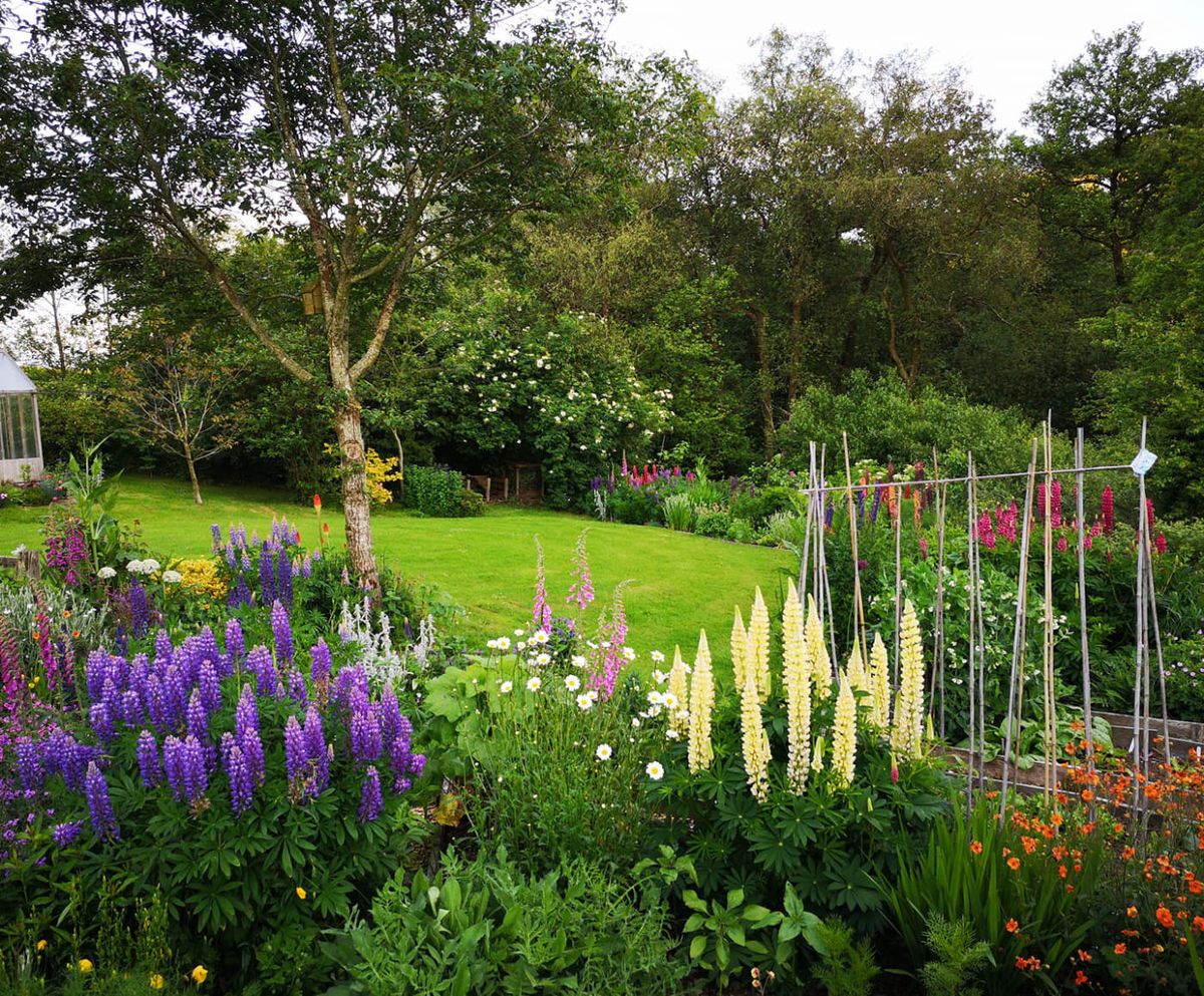 Lawned garden with colourful flower borders and woodland behind